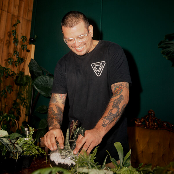 Terrarium classes, Brunswick