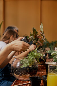 Terrarium class by The Plant Whisperer