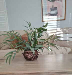 Pottery class by Timeless Botanicals and Gifts