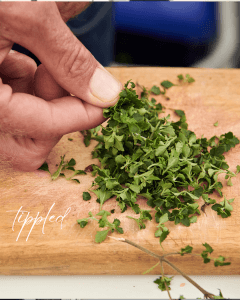 Cocktail class by Tippled