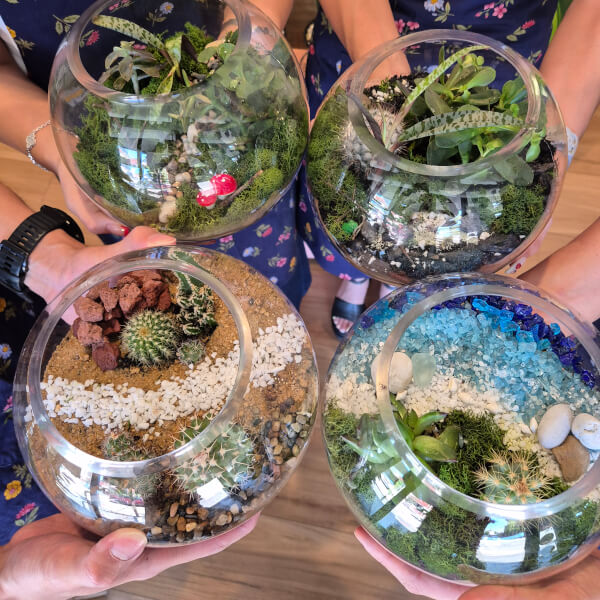 Terrarium class by Wattle & Bee