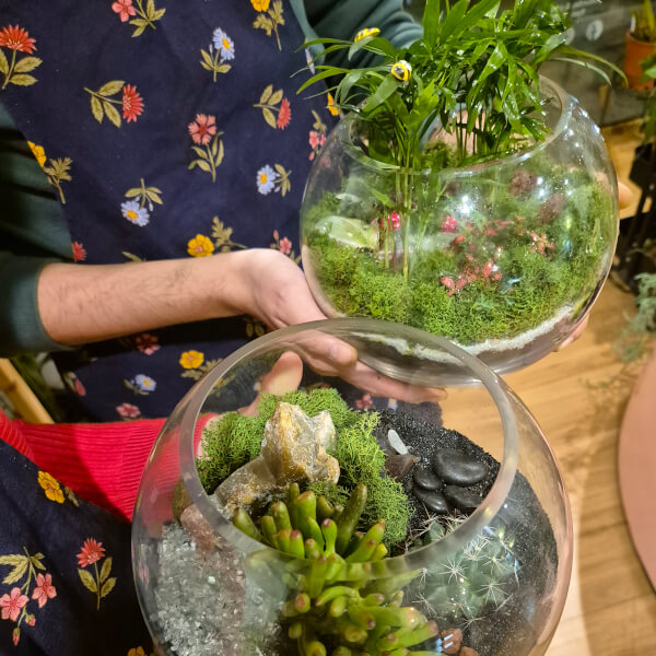 Terrarium experience