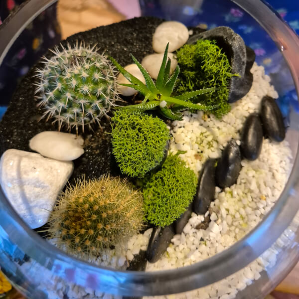 Terrarium class by Wattle & Bee