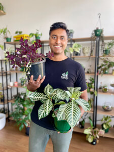 Terrarium class by Wera Plants