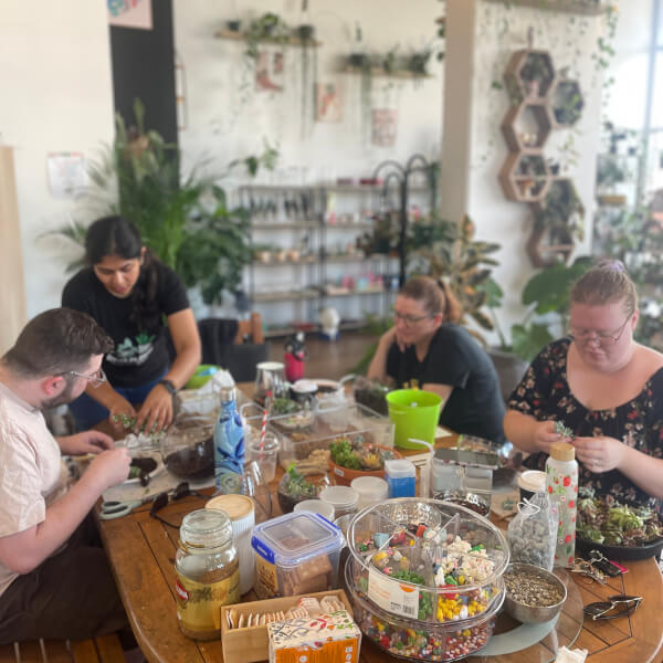Terrarium workshops