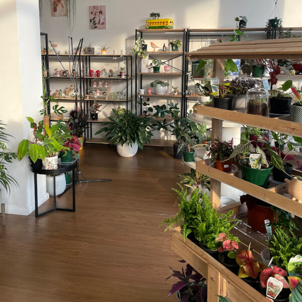 Terrarium classes