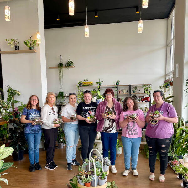 Terrarium experience