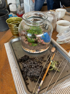 Terrarium course