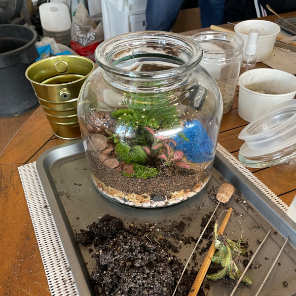 Terrarium course