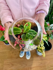 Terrarium class by Wera Plants