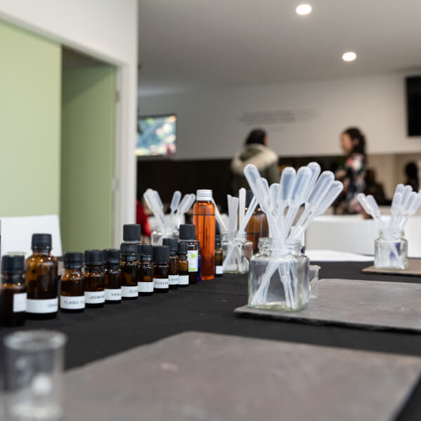 Perfume Making classes