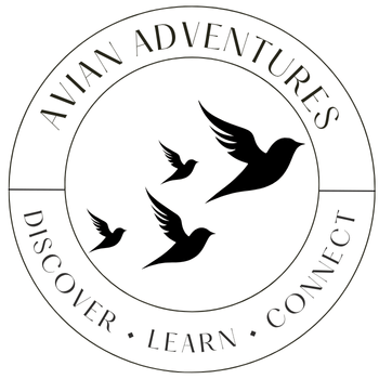 Amanda Vallance, photography teacher