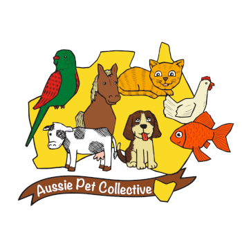 Aussie Pet Collective, textiles teacher