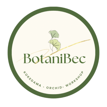 BotaniBec, kokedama teacher
