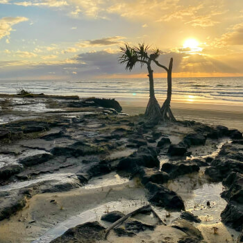 Brisbane waters yoga, body and soul teacher