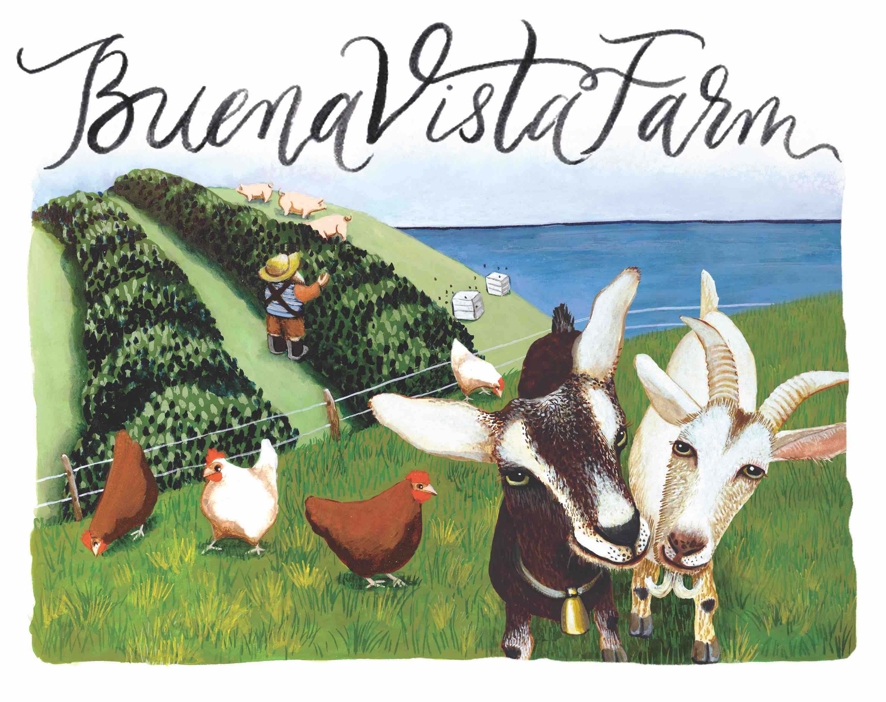 Buena Vista Farm