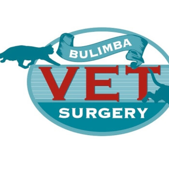 Bulimba Vet Surgery, life hacks teacher