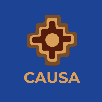 CAUSA Hub
