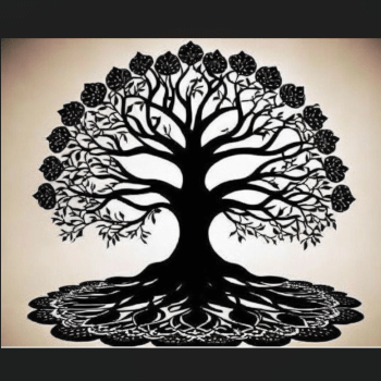 CGE Wellness