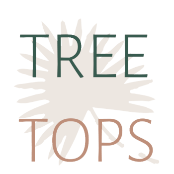 Clovelly Studio at Tree Tops