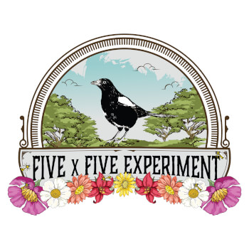 Five x Five Experiment, pottery and painting teacher