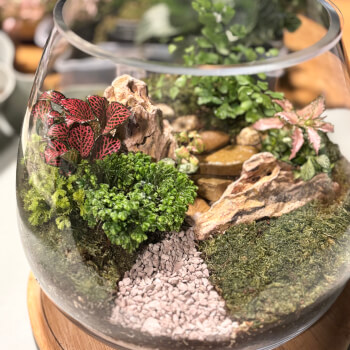 Leaf Jars, terrarium teacher