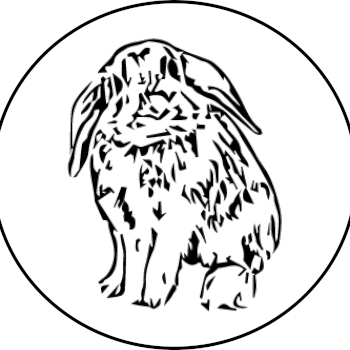 Moody Rabbit, pottery teacher