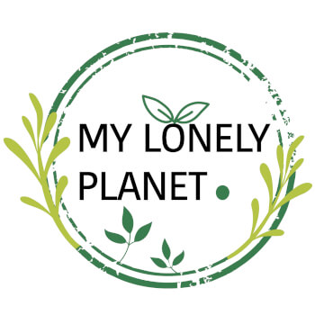 My Lonely Planet, terrarium teacher