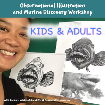 Wildcard-Sue, drawing teacher