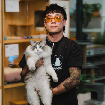 XMMO Cat Hotel & Spa, life hacks teacher