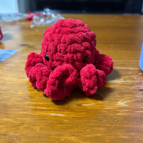 Amigurumi Crochet Workshop: Craft Your Own Mini Octopus review by Jessica Wigley - Sydney
