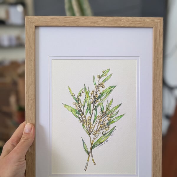 Australian Native Botanicals in Watercolour Pencil Workshop review by Candice Le-Roux - Perth