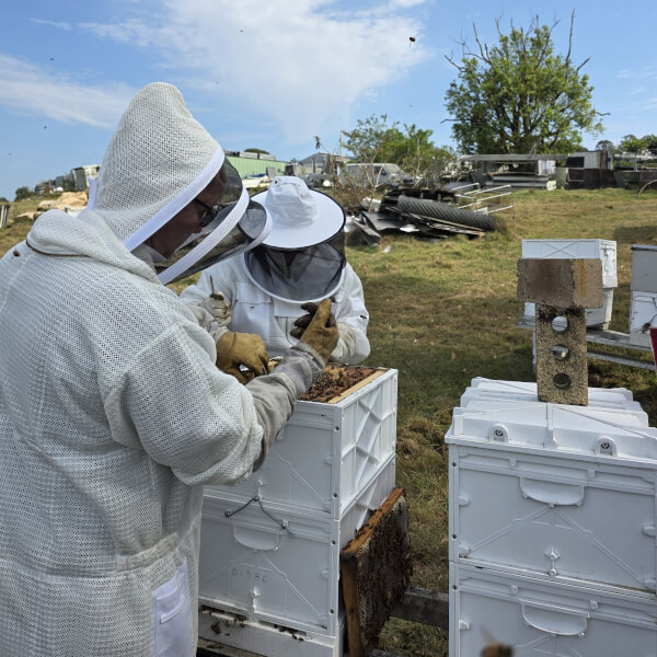 Best gift experience review