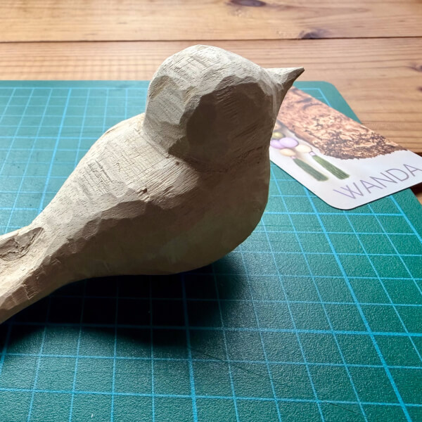 Bird Whittling Class review by Jo Dabrowski - Melbourne