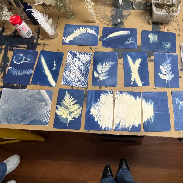 Botanic Cyanotypes Workshop review by Bronte McArthur - Sydney