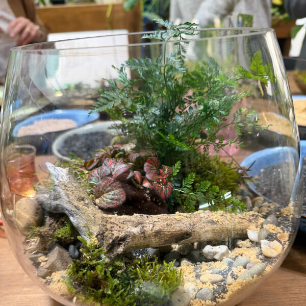 Fishbowl Terrarium Workshop review by Caitlin Meagher - Melbourne