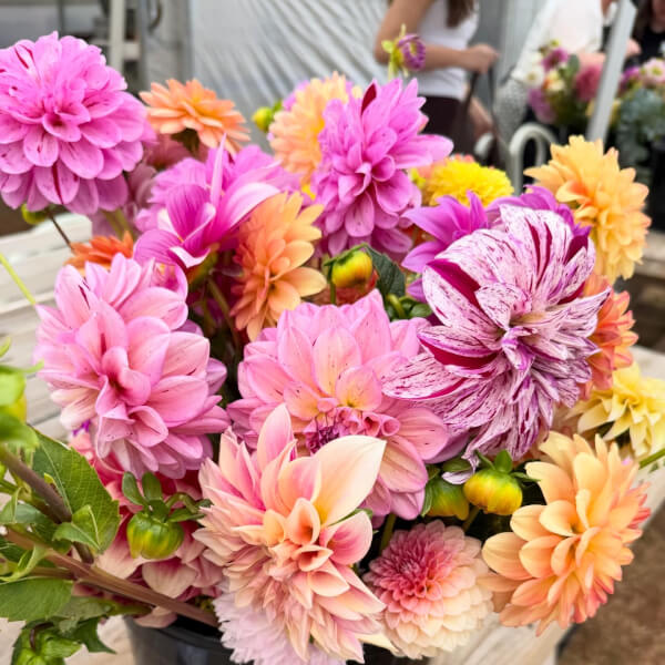 Flower Picking Class with Farm Tour review by Shona Booth - Melbourne