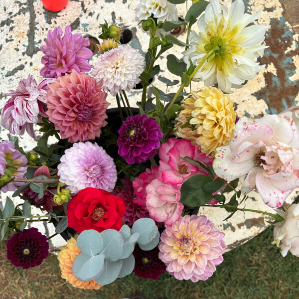 Flower Picking Class with Farm Tour review by Rafaela Boiteux - Melbourne