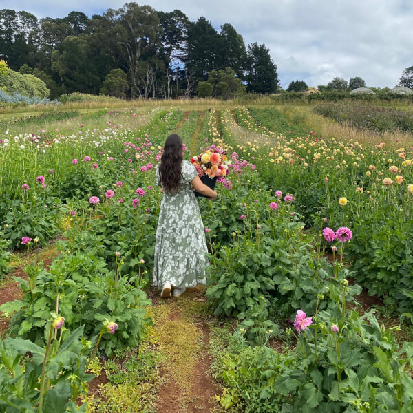 Flower Picking Class with Farm Tour review by Isabella Metsios - Melbourne