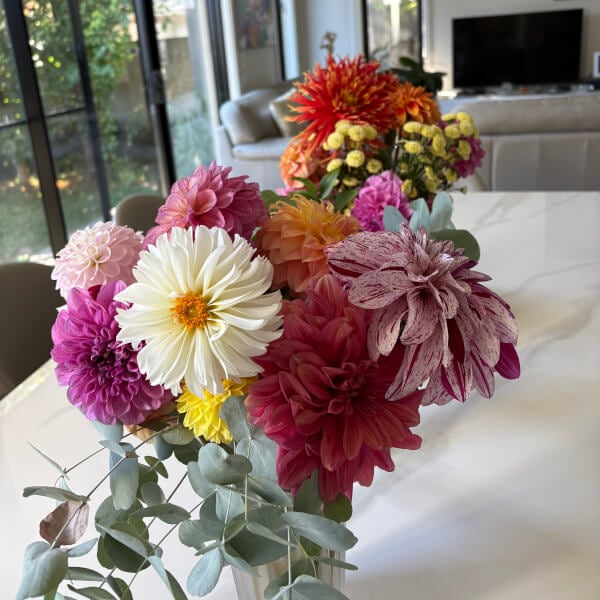 Flower Picking Class with Farm Tour review by Pushparani Paramarajah - Melbourne