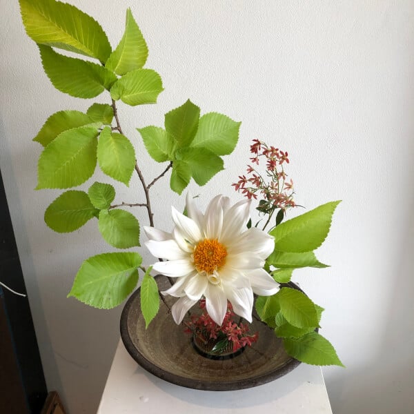 Ikebana Flower Arranging Class Sydney | Experiences | Gifts | ClassBento