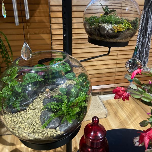 Best gift experience review