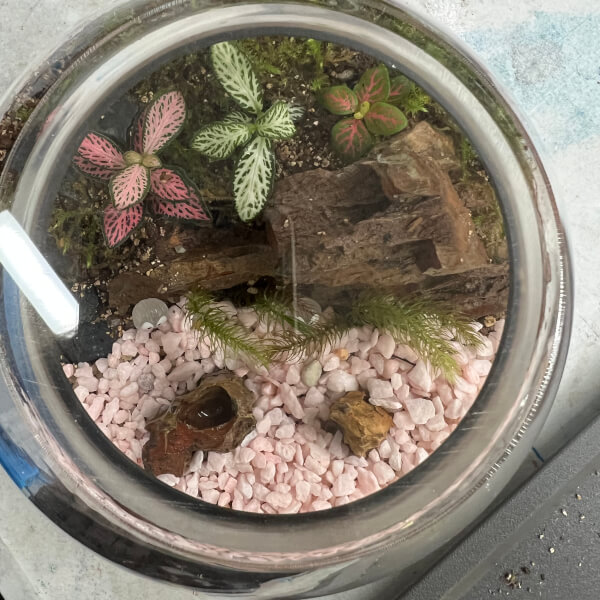 Best gift experience review