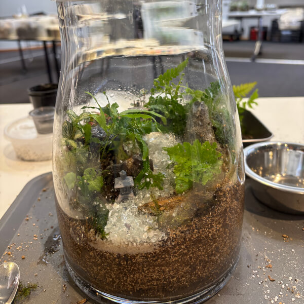 Best gift experience review