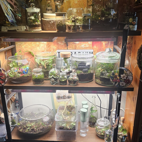 Junior Terrarium Making Workshop for Kids review by Allison Sack - Perth
