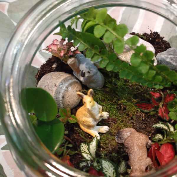 Junior Terrarium Making Workshop for Kids review by Melissa Hayman - Perth