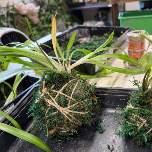 Best gift experience review