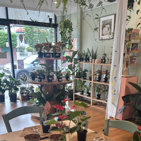 Kokedama Workshop review by Catherine Earley - Sydney