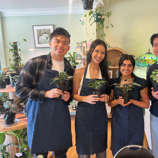 Kokedama Workshop review by Michael Nguyen - Sydney