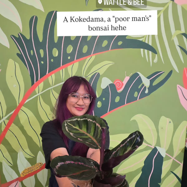 Kokedama Workshop review by Natalie Leung - Sydney